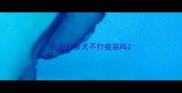 拉布拉多犬不打疫苗吗