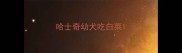哈士奇幼犬吃白菜
