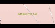 宠物肠炎吃什么药