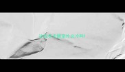 边牧冬天睡室外会冷吗
