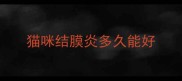 猫咪结膜炎多久能好