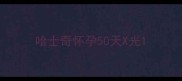 哈士奇怀孕50天X光