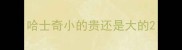 哈士奇小的贵还是大的