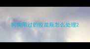 狗狗用过的疫苗瓶怎么处理