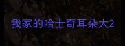 我家的哈士奇耳朵大