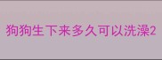 狗狗生下来多久可以洗澡