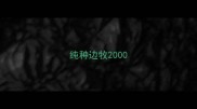 纯种边牧2000