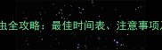 拉布拉多幼犬驱虫全攻略最佳时间表注意事项及常见问题解答