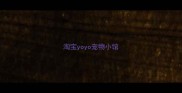 淘宝yoyo宠物小馆