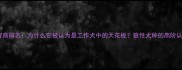 哈士奇智商排名为什么它被认为是工作犬中的天花板狼性犬种的高阶认知能力