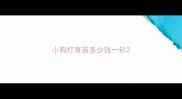 小狗打育苗多少钱一针