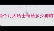 两个月大哈士奇给多少狗粮