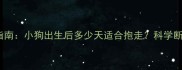 幼犬分离焦虑预防指南小狗出生后多少天适合抱走科学断奶期与抱养护理全