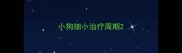 小狗细小治疗周期
