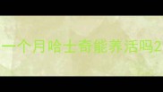 一个月哈士奇能养活吗