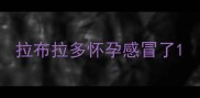 拉布拉多怀孕感冒了