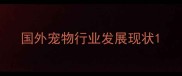 国外宠物行业发展现状