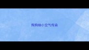 狗狗细小空气传染