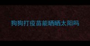 狗狗打疫苗能晒晒太阳吗