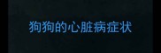 狗狗的心脏病症状