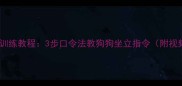 拉布拉多训练教程3步口令法教狗狗坐立指令附视频演示