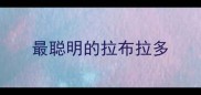 最聪明的拉布拉多