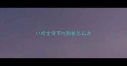小哈士奇不吃狗粮怎么办