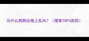 为什么狗狗会晚上乱叫搜索TOP3原因