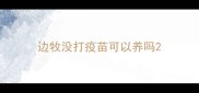 边牧没打疫苗可以养吗