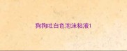 狗狗吐白色泡沫粘液