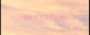 猫咪爪子用什么剪