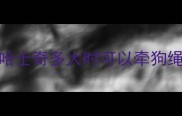 哈士奇多大时可以牵狗绳
