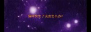 猫咪快生了流血怎么办