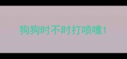 狗狗时不时打喷嚏