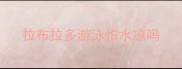 拉布拉多游泳怕水凉吗