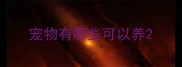 宠物有哪些可以养