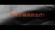 猫咪疥螨病的治疗