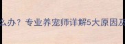哈士奇咬人怎么办专业养宠师详解5大原因及纠正训练指南