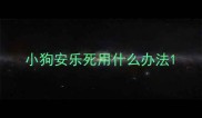小狗安乐死用什么办法