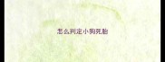 怎么判定小狗死胎