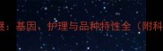 金毛犬卷毛之谜基因护理与品种特性全附科学养护指南