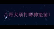 八哥犬须打哪种疫苗