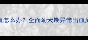 6个月雪纳瑞母狗出血怎么办全面幼犬期异常出血原因及专业应对措施