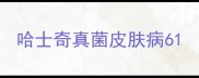 哈士奇真菌皮肤病6