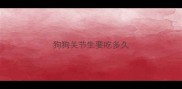 狗狗关节生要吃多久