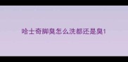 哈士奇脚臭怎么洗都还是臭
