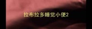 拉布拉多睡觉小便