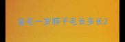 金毛一岁脖子毛长多长