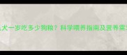 金毛犬一岁吃多少狗粮科学喂养指南及营养需求全