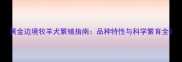 黄金边境牧羊犬繁殖指南品种特性与科学繁育全
